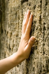Eine Hand fühlt und tastet an einer rauen Wand.
Kim-Spiele basteln