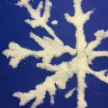 Schneeflocke aus Salz – eine winterliche Bastelidee für Kinder.